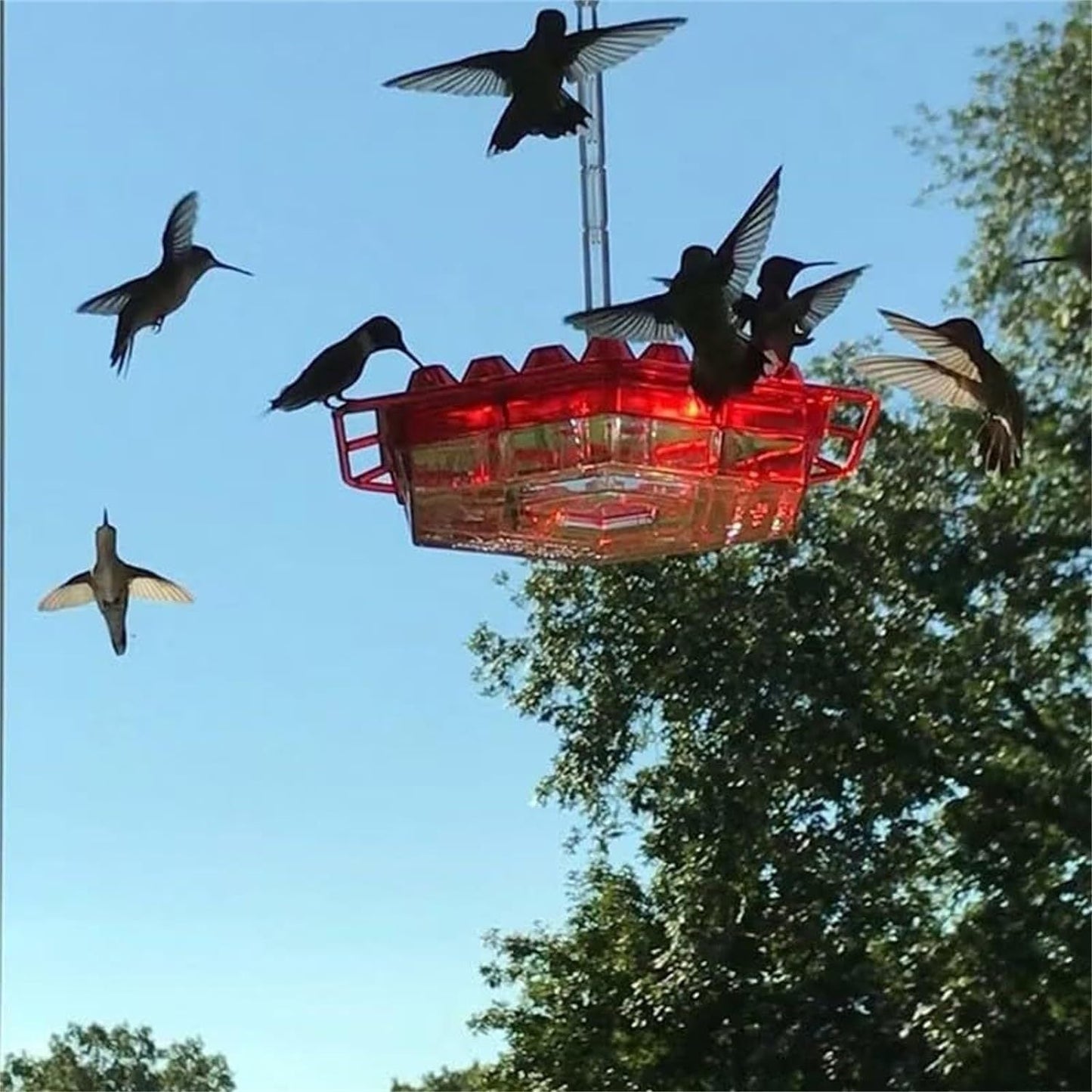 💥Last Day Sale 45% OFF🎁Hanging Outdoor Hummingbird Feeder🐦